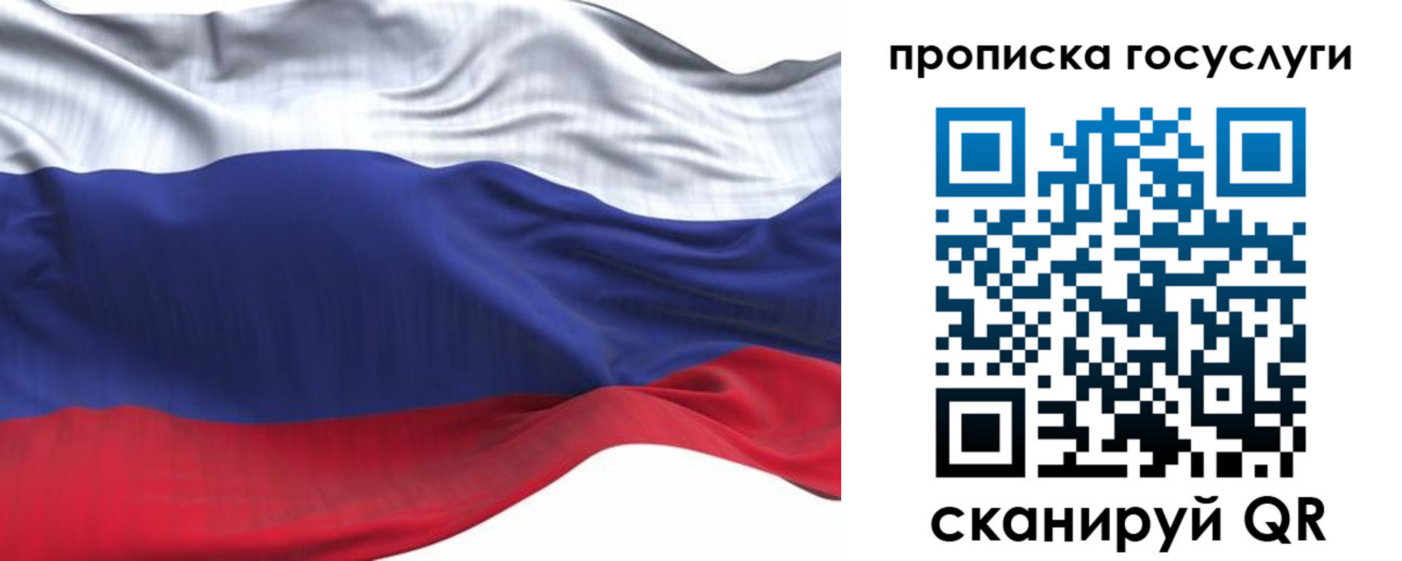 прописка для школы в Новосибирской области